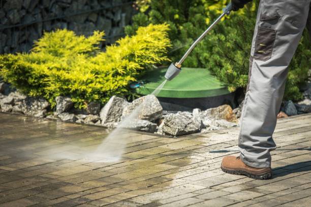 Best Winterizing Services  in Archbald, PA
