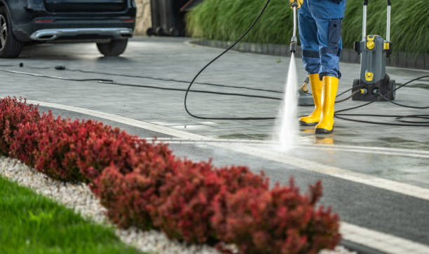 Best Roof Washing  in Archbald, PA